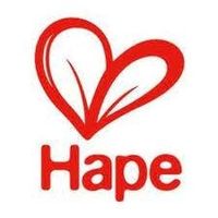 Hape coupons